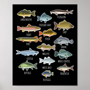 Types Of Freshwater Fish Species Fishing Poster
