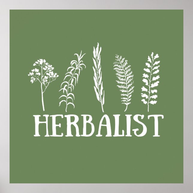 Types of herbals herbalist poster (Front)