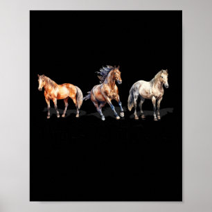 Types Of Horses Horse Breed Horseback Riding Poster