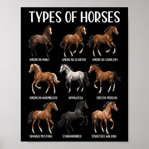 Types Of Horses Shirt Funny Horse Breed Horseback Poster