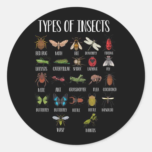 Types Of Insects Bug Identification Classic Round Sticker (Front)