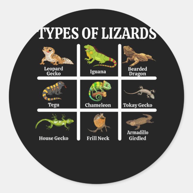 Types of Lizards Lizard Reptiles Classic Round Sticker (Front)