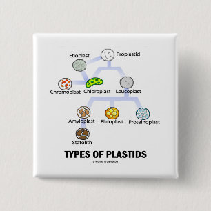 Types Of Plastids 15 Cm Square Badge