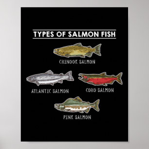 Types Of Salmon Fish For Salmon Fishing Poster
