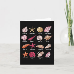 Types Of Seashells Beach Shelling Conch Sea Shell  Card