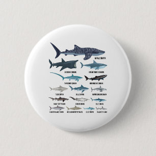 Types Of Sharks Shark Species Identification Ocean 6 Cm Round Badge
