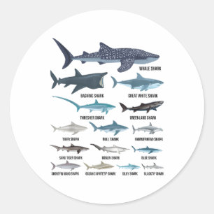 Types Of Sharks Shark Species Identification Ocean Classic Round Sticker