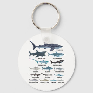 Types Of Sharks Shark Species Identification Ocean Key Ring