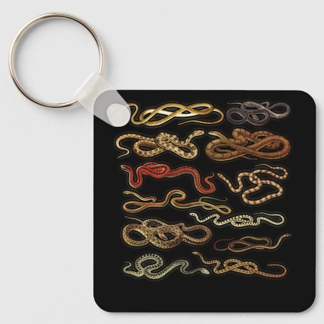 Types Of Snakes Herpetologist Educational Reptiles Key Ring (Front)