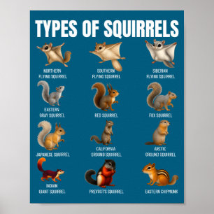 Types Of Squirrels Identification Chart Species Of