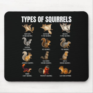 Types Of Squirrels Identification Chart Species Of Mouse Mat