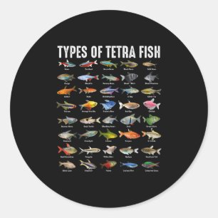 Types Of Tetra Fish - Tetras Aquarium Fish Species Classic Round Sticker
