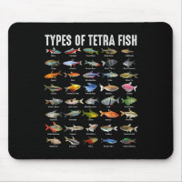 Types Of Tetra Fish - Tetras Aquarium Fish Species