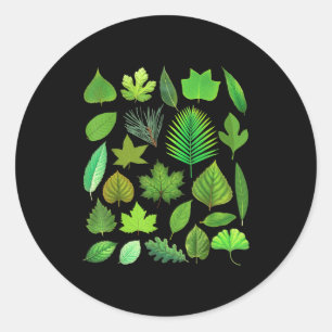 Types Of Tree Leaves Biology Nature Educational Classic Round Sticker