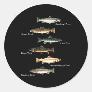 Types Of Trout Fish Species Collection Fishing  Classic Round Sticker