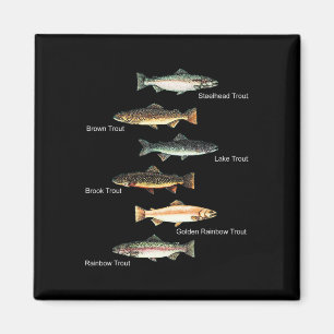 Types Of Trout Fish Species Collection Fishing  Magnet