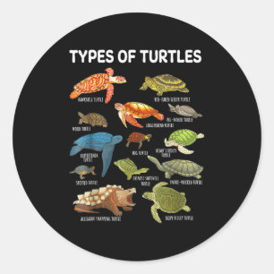 Types Of Turtles Funny Sea Turtle Animal Men Women Classic Round Sticker