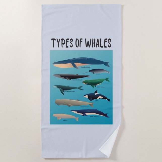 Types Of Whales Ocean Mammal Variety Beach Towel (Front)