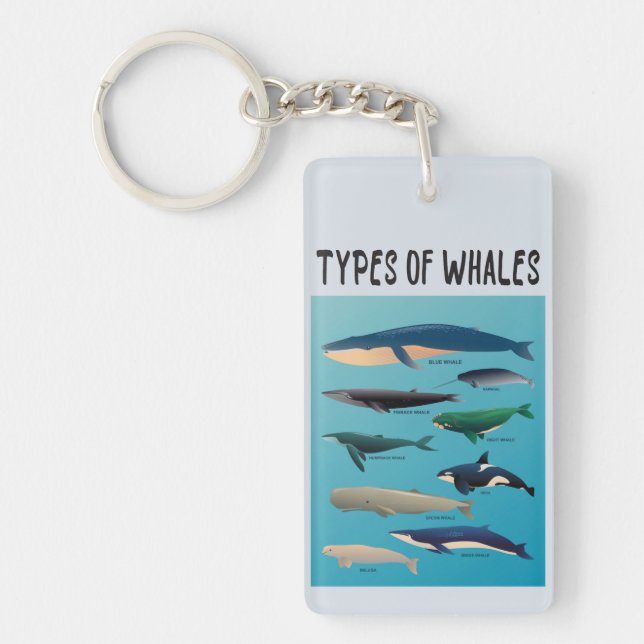 Types Of Whales Ocean Mammal Variety  Key Ring (Front)