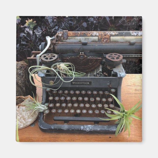 Typewriter Air plant Magnet (Front)