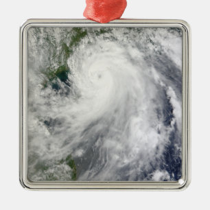 Typhoon Chanthu Metal Tree Decoration