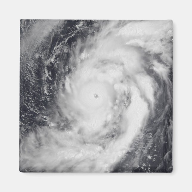 Typhoon Damrey in the western Pacific Ocean Magnet (Front)