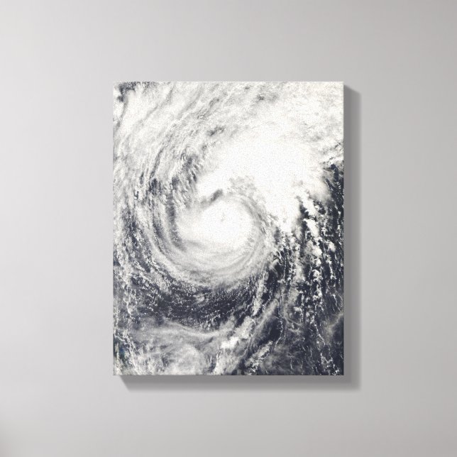 Typhoon Dolphin in the Philippine Sea Canvas Print (Front)