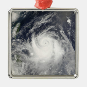 Typhoon Ewiniar Metal Tree Decoration