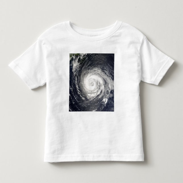 Typhoon Fitow Toddler T-Shirt (Front)