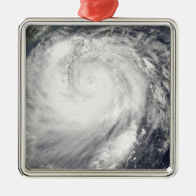 Typhoon Haitang Metal Tree Decoration (Front)