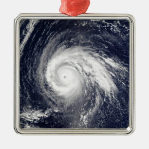 Typhoon Higos Metal Tree Decoration