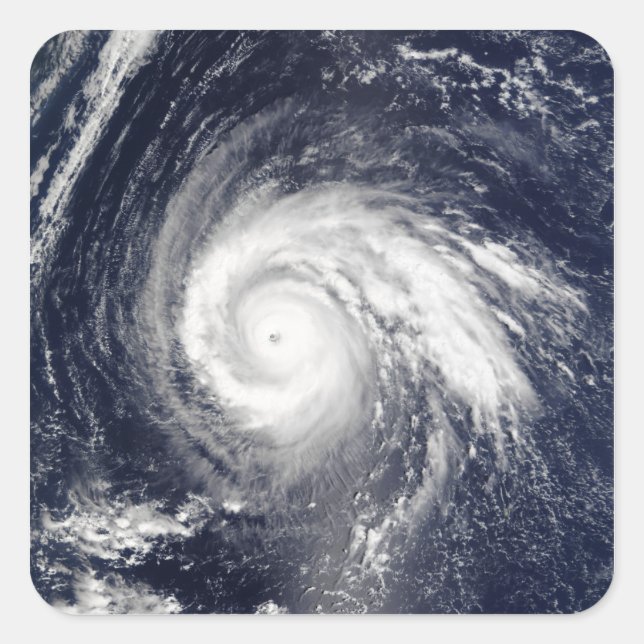 Typhoon Higos Square Sticker (Front)