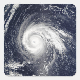 Typhoon Higos Square Sticker