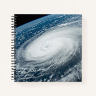Typhoon Hinnamnor. Notebook