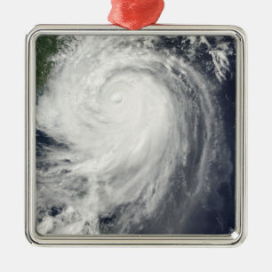 Typhoon Jangmi Metal Tree Decoration