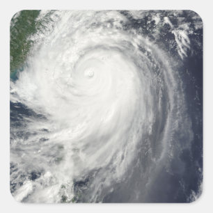 Typhoon Jangmi Square Sticker