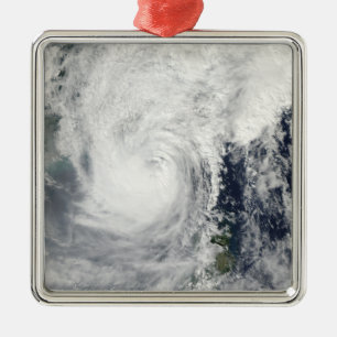 Typhoon Megi 3 Metal Tree Decoration