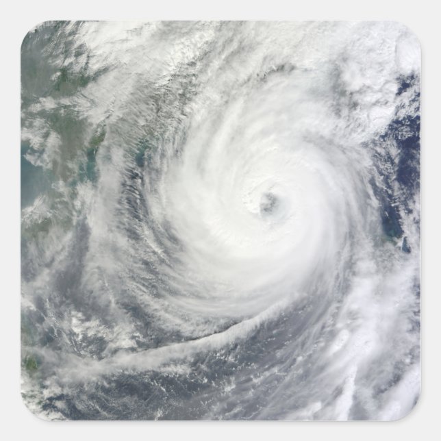 Typhoon Megi 4 Square Sticker (Front)