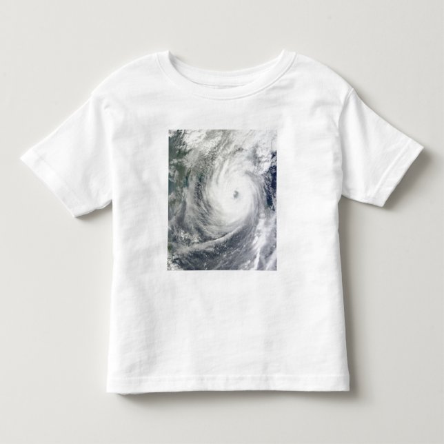 Typhoon Megi 4 Toddler T-Shirt (Front)