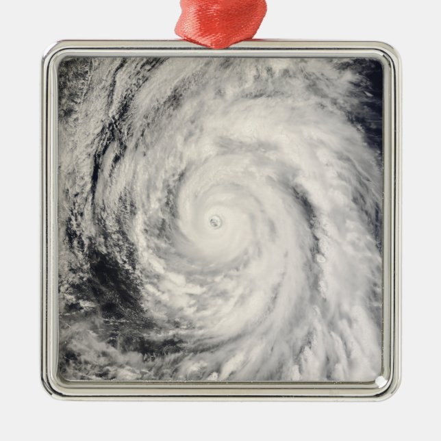Typhoon Rammasun in the Philippine Sea Metal Tree Decoration (Front)