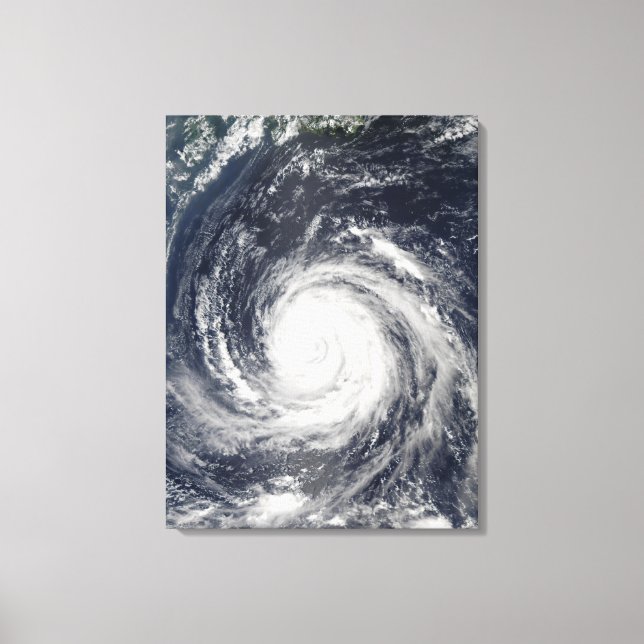 Typhoon Rusa Canvas Print (Front)