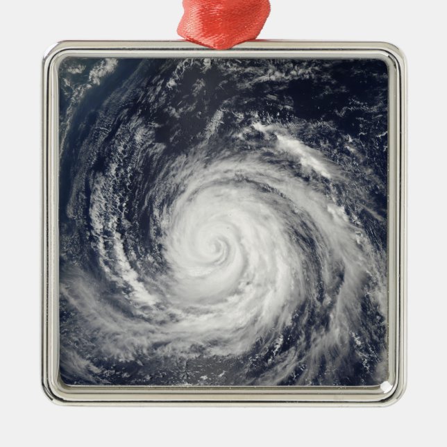 Typhoon Rusa Metal Tree Decoration (Front)