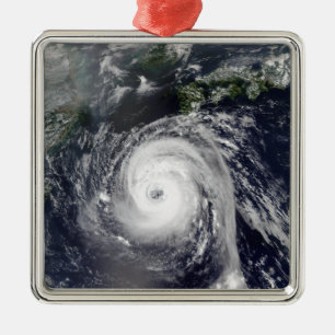 Typhoon Sinlaku 2 Metal Tree Decoration