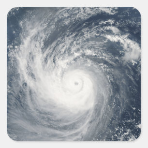 Typhoon Taim Square Sticker