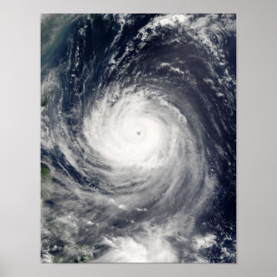 Typhoon Talim Poster