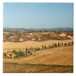 Typical landscapes for Siena Province in Tuscany Tile