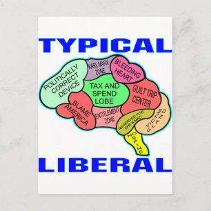 Typical Liberal Socialist Brain Postcard