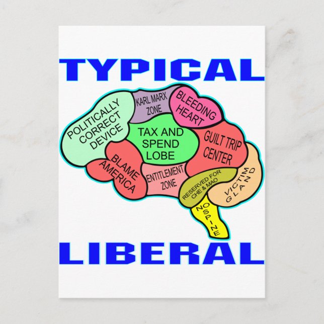 Typical Liberal Socialist Brain Postcard (Front)