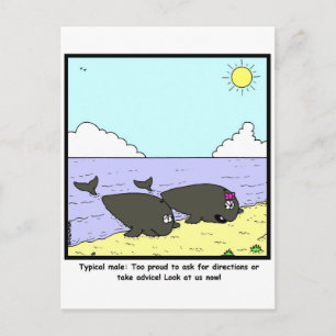 Typical Male Postcard