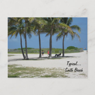 Typical...South Beach Postcard